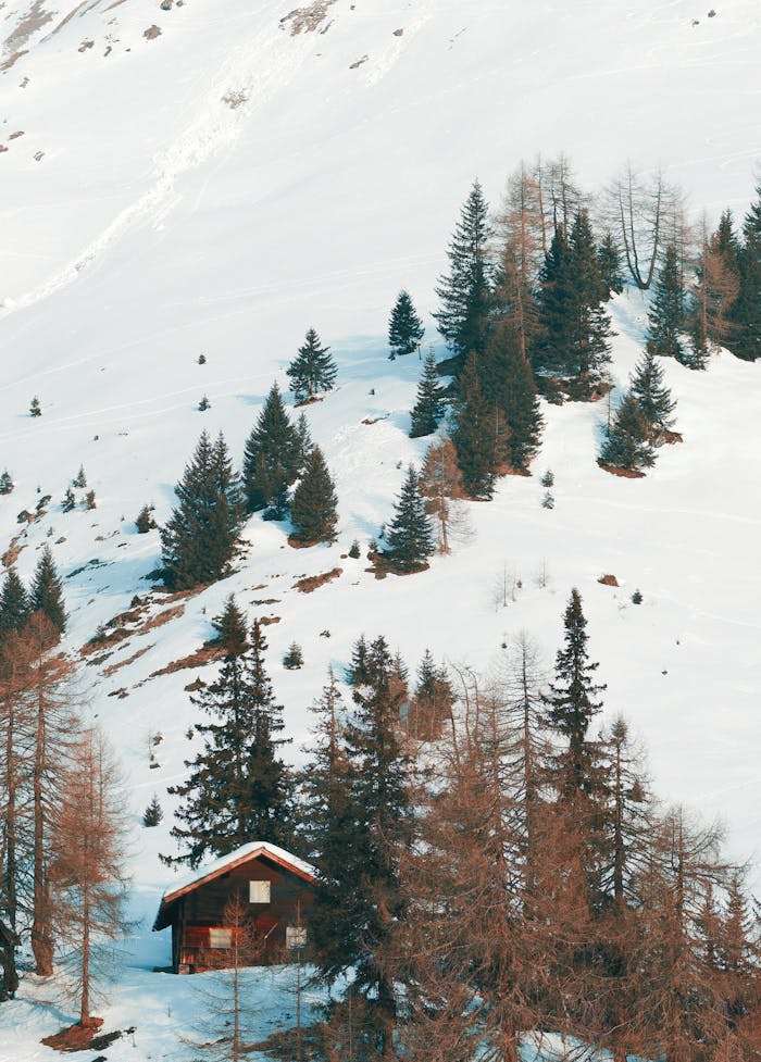 A cozy chalet nestled among snow-covered trees in the Carinthian Alps, Austria.