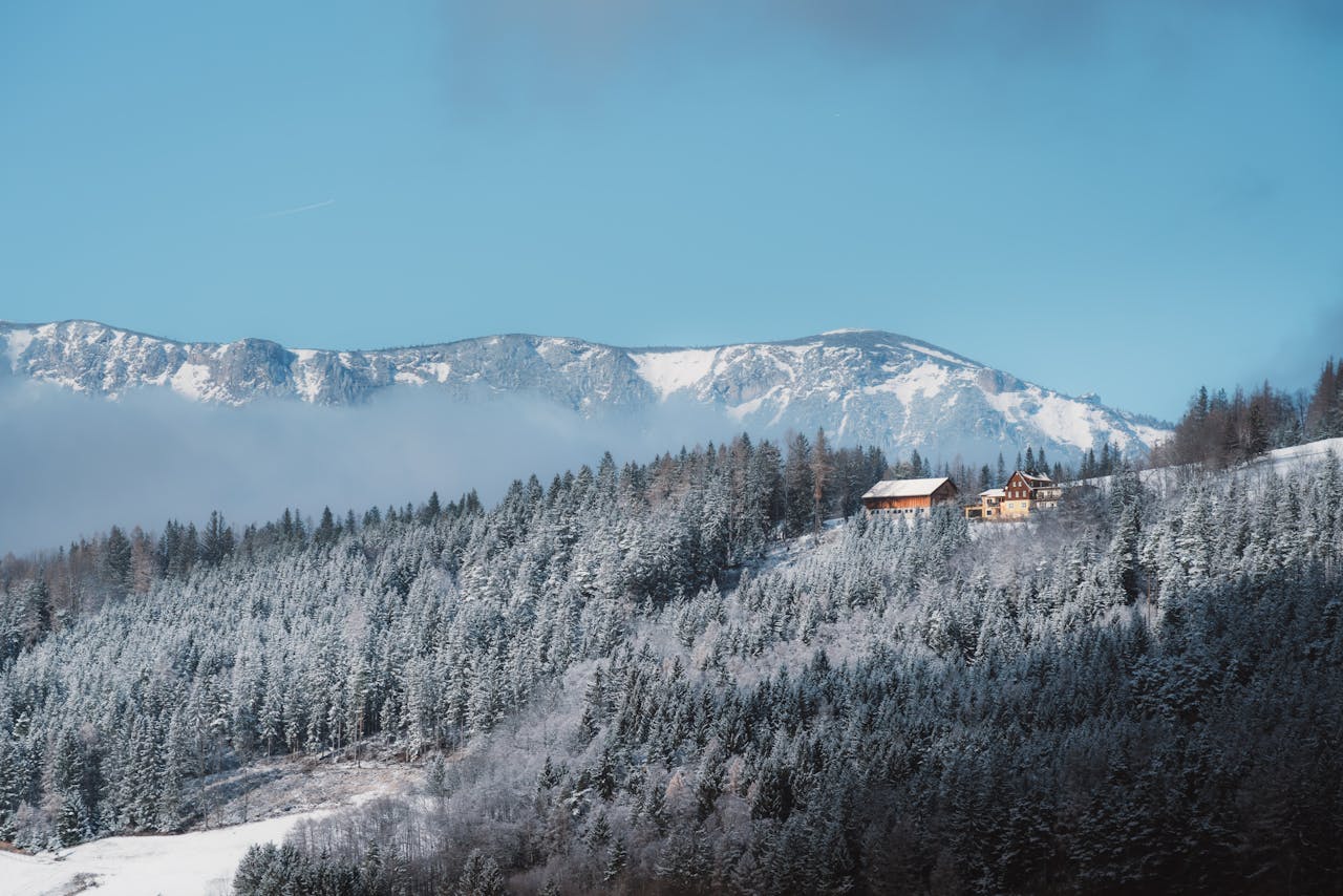 A tranquil winter scene featuring frosted trees and a peaceful mountain cabin in Semmering, Austria.